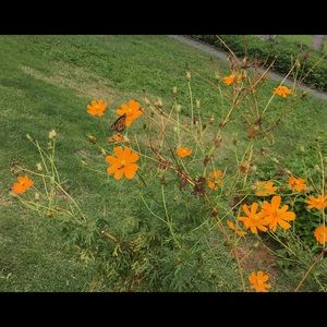 Meet your Posher, Myrna